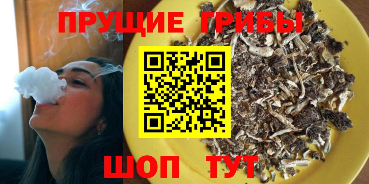 Галлюциногенные грибы MAGIC MUSHROOMS  Вход с VPN  Видное 